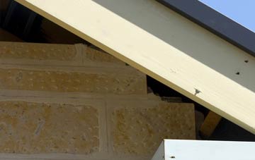 soffit repair Bridge Of Balgie